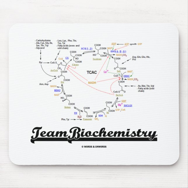 Team Biochemistry (Kreb Cycle Citric Acid Cycle) Mouse Mat (Front)