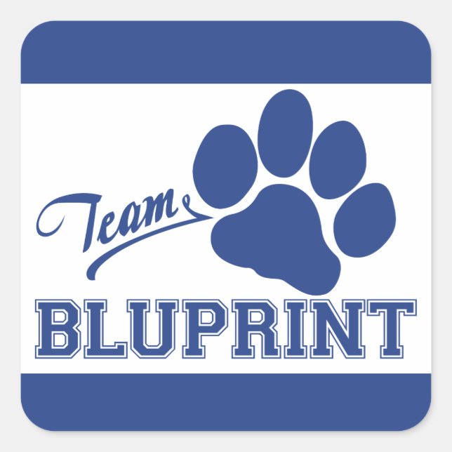 Team BluPrint Square Stickers (Front)