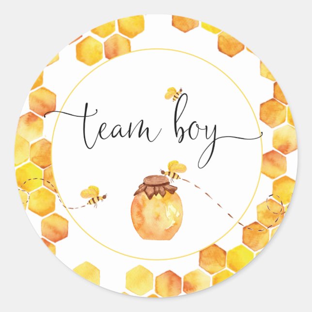 Team Boy Bee Theme Gender Reveal Stickers (Front)