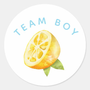 Team Boy Gender Reveal Party Vote Lemon Classic Round Sticker