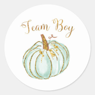 Team Boy Pastel Pumpkin Gender Reveal game sticker