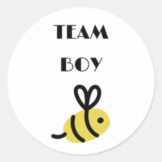 Team Boy Vote gender reveal party Classic Round Sticker