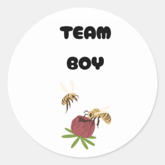 Team Boy Vote gender reveal party Classic Round Sticker