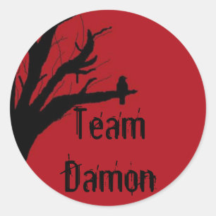 Team Damon Vengeful Crow Classic Round Sticker