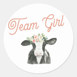 Team Girl Cow Farm Gender Reveal Sticker