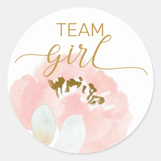 Team Girl gender reveal party stickers