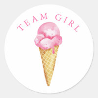 Team Girl Gender Reveal Party Vote Ice Cream