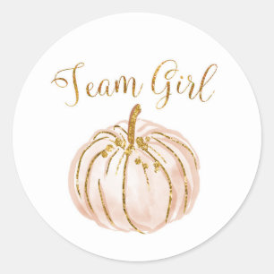 Team Girl Pastel Pumpkin Gender Reveal sticker
