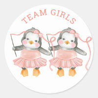Team Girls. Twin gender reveal. Voting board game