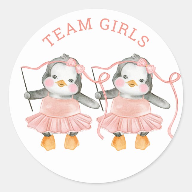 Team Girls. Twin gender reveal. Voting board game Classic Round Sticker (Front)
