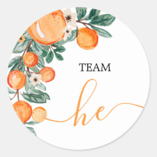 TEAM He Gender Reveal Citrus Orange Game Labels