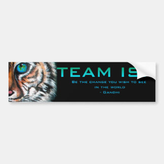 Team ISF Bumper Sticker