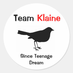 Team Klaine Classic Round Sticker