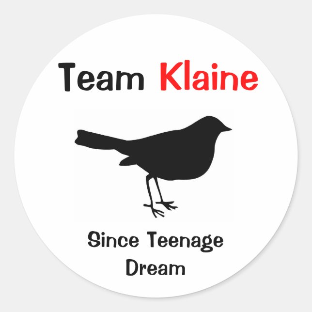 Team Klaine Classic Round Sticker (Front)