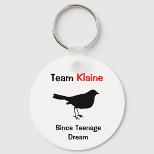 Team Klaine Key Ring
