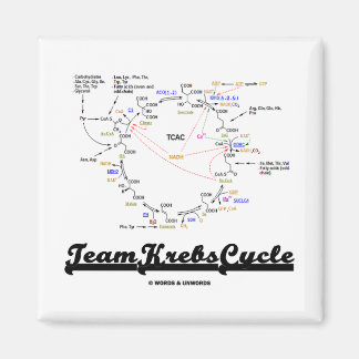 Team Krebs Cycle (Citric Acid Cycle - TCAC) Magnet
