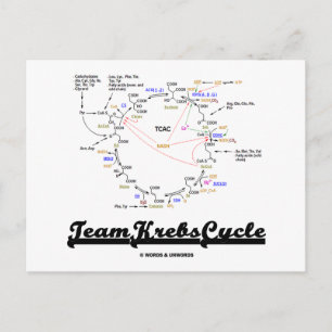 Team Krebs Cycle (Citric Acid Cycle - TCAC) Postcard