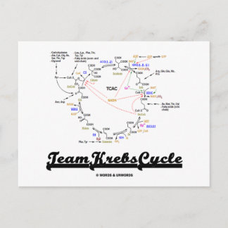 Team Krebs Cycle (Citric Acid Cycle - TCAC) Postcard