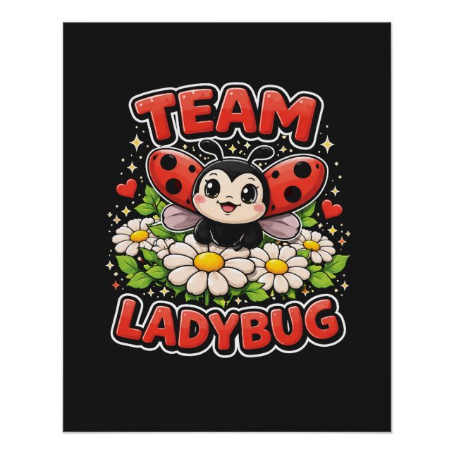 Team Ladybug Poster (Front)