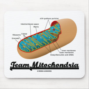 Team Mitochondria Mitochondrion Humor Mouse Mat