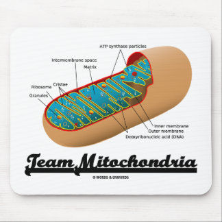 Team Mitochondria Mitochondrion Humor Mouse Mat