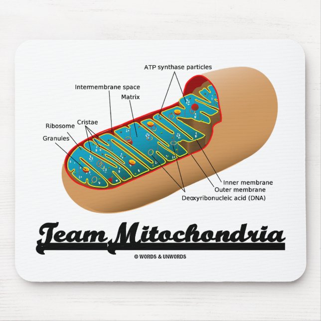 Team Mitochondria Mitochondrion Humor Mouse Mat (Front)