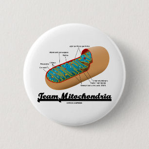 Team Mitochondria (Mitochondrion Humour) 6 Cm Round Badge