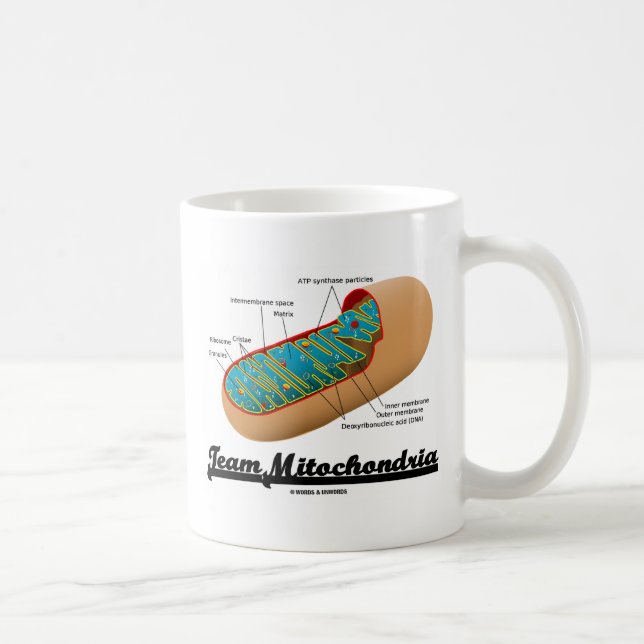 Team Mitochondria (Mitochondrion Humour) Coffee Mug (Right)