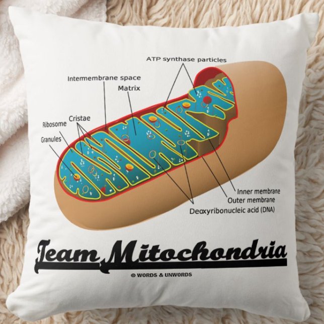 Team Mitochondria (Mitochondrion Humour) Cushion (Team Mitochondria throw pillow for any exerciser who knows that mitochondria power ourselves!)