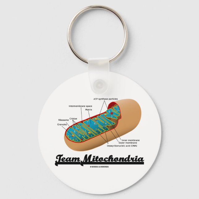 Team Mitochondria (Mitochondrion Humour) Key Ring (Front)