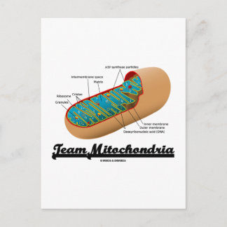 Team Mitochondria (Mitochondrion Humour) Postcard