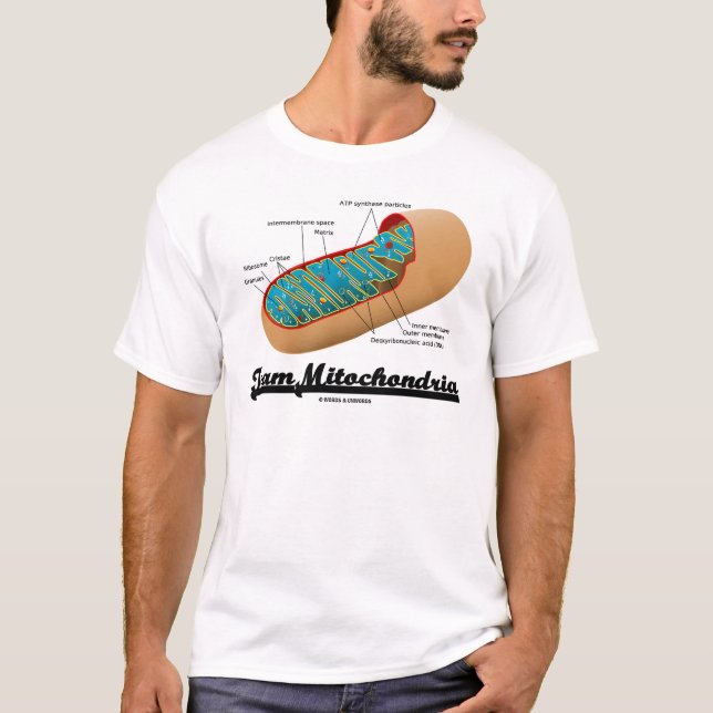 Team Mitochondria (Mitochondrion Humour) T-Shirt (Front)