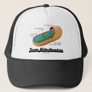 Team Mitochondria (Mitochondrion Humour) Trucker Hat