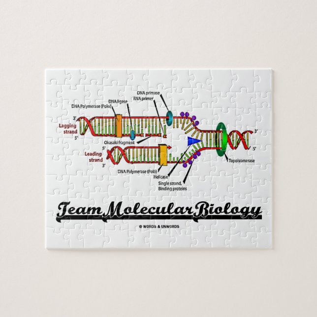 Team Molecular Biology (DNA Replication) Jigsaw Puzzle (Horizontal)