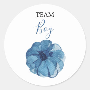 TEAM Navy Gender Reveal Baby Shower Game Labels