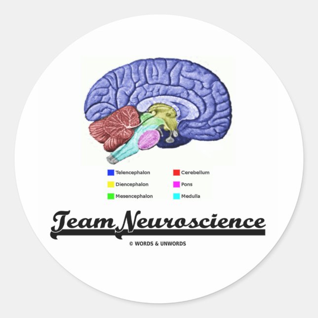Team Neuroscience (Brain Anatomy Attitude) Classic Round Sticker (Front)