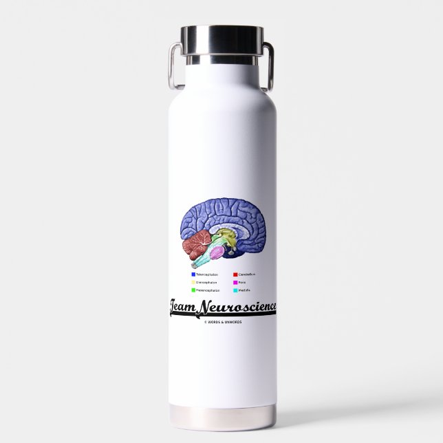 Team Neuroscience Brain Anatomy Attitude Water Bottle (Front)