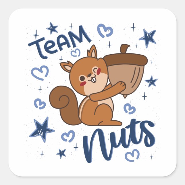 Team Nuts Gender Reveal Party Blue Boy Square Sticker (Front)