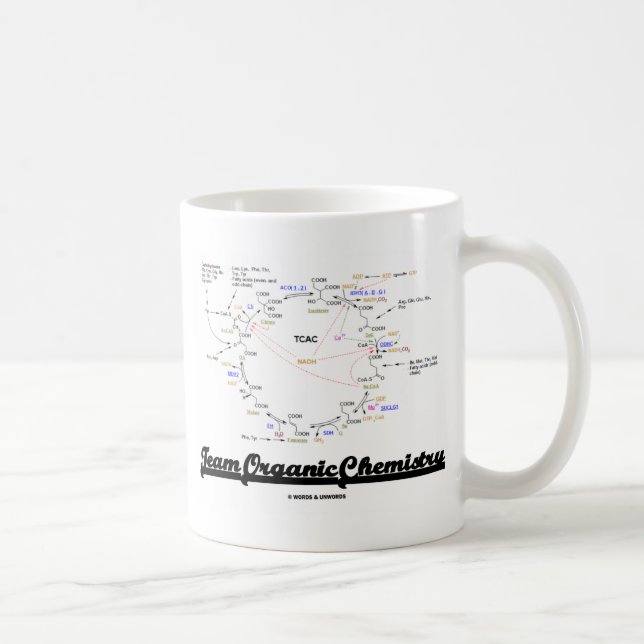 Team Organic Chemistry (Krebs Cycle - TCAC) Coffee Mug (Right)