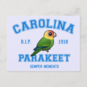 Team Parakeet Postcard