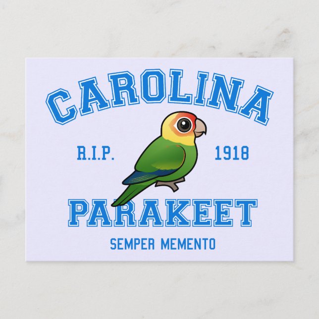Team Parakeet Postcard (Front)