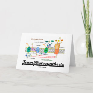 Team Photosynthesis (Light-Dependant Reactions) Card