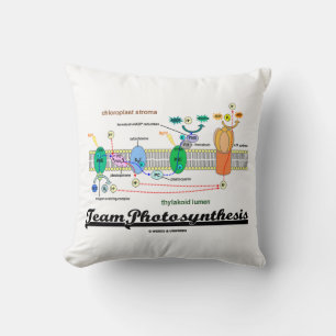 Team Photosynthesis Light-Dependant Reactions Cushion