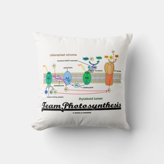 Team Photosynthesis Light-Dependant Reactions Cushion (Front)