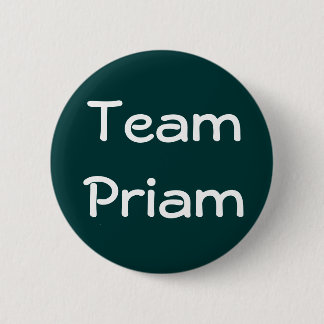 Team Priam Badge