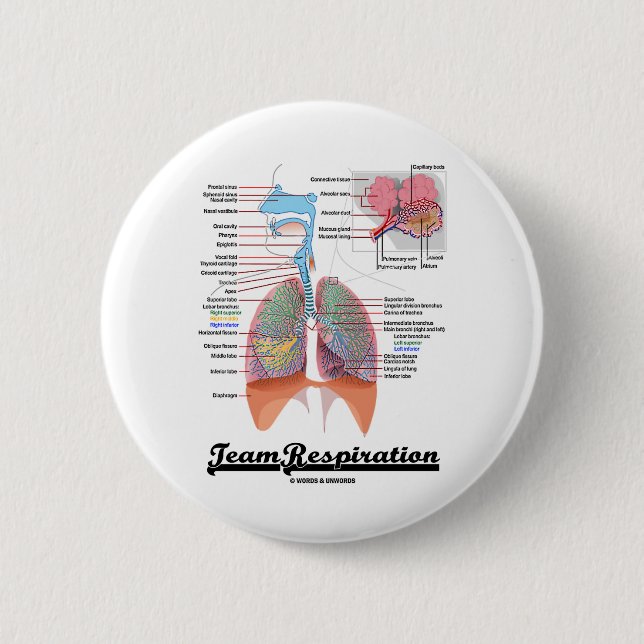 Team Respiration (Respiratory System) 6 Cm Round Badge (Front)