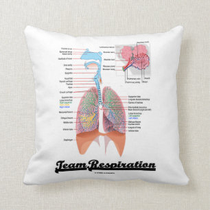 Team Respiration (Respiratory System) Cushion