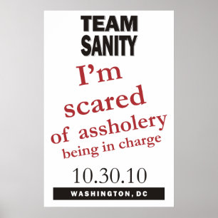 Team Sanity poster