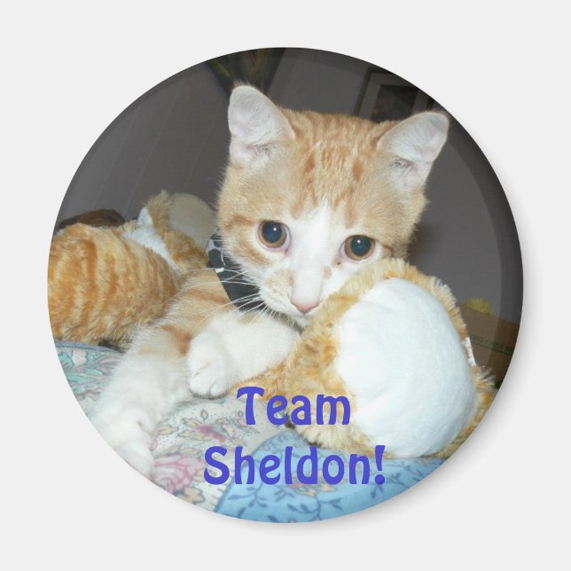 team sheldon magnet (Front)