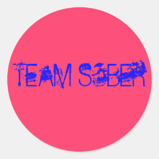 TEAM SOBER CLASSIC ROUND STICKER